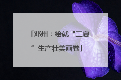 邓州：绘就“三夏”生产壮美画卷